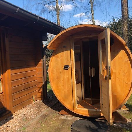 Ferienblockhäuser am Steinhuder Meer Wunstorf Exterior foto