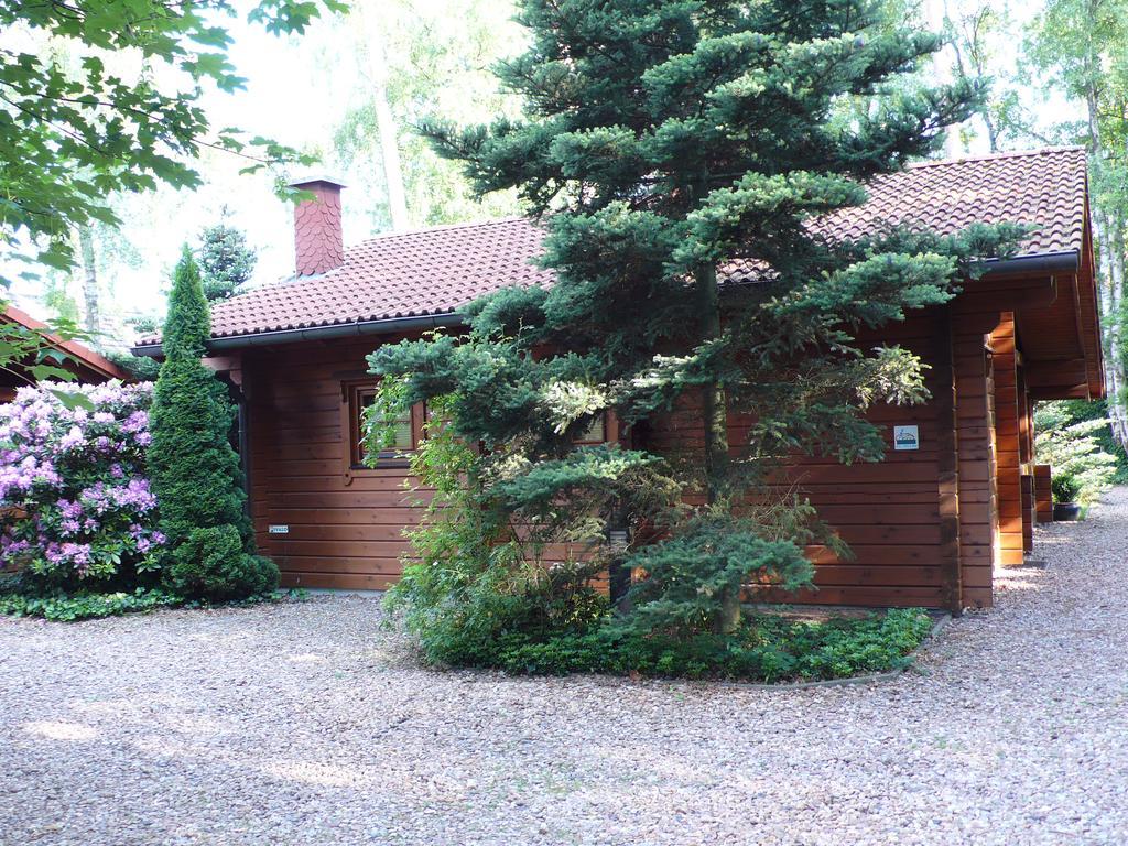 Ferienblockhäuser am Steinhuder Meer Wunstorf Exterior foto